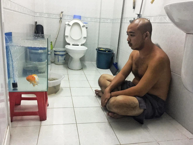 Hình ảnh ông chồng hồn nhiên vui đùa trong bể cá khiến dân tình không khỏi bật cười.