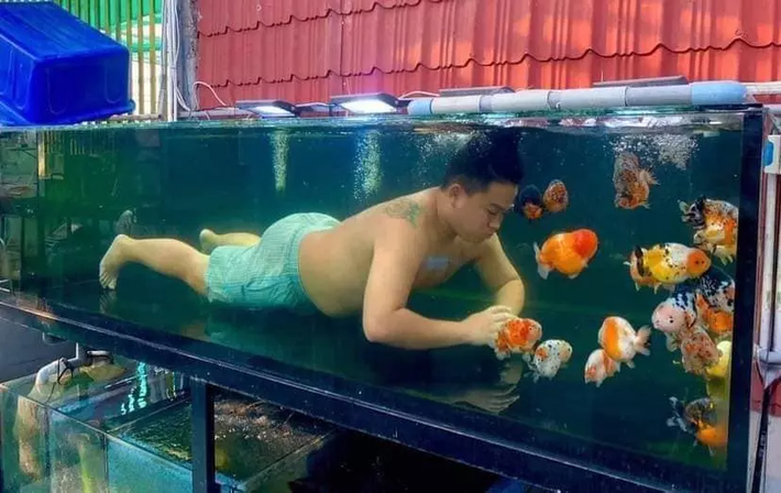 Trong những hình ảnh được đăng tải, người đàn ông không chỉ vui chơi đơn thuần với "thú cưng" mới sắm mà còn chẳng ngần ngại nhảy vào bơi cùng các em.