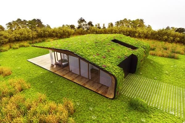 Sử dụng các loại dây leo, các loại cây thích hợp điều kiện sống khắc nghiệt, chịu ánh sáng (xương rồng, hoa đá), thiết kế khu vườn theo phong cách độc đáo và lạ, thích hợp với nhà đô thị không có nhiều diện tích làm sân vườn.