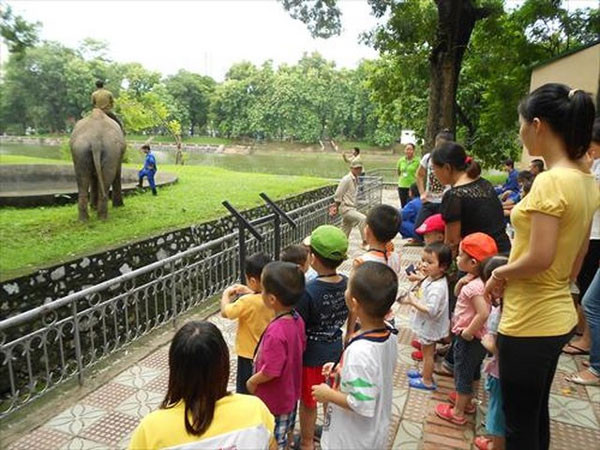 Với mức giá rẻ, từ khoảng 10.000 đồng/người, nhiều trẻ nhỏ có thể được ngắm các con động vật như hổ, khỉ, hươu, nai... Ngoài ra, các khu vui chơi (đu quay, lái xe) cũng không quá đắt đỏ.