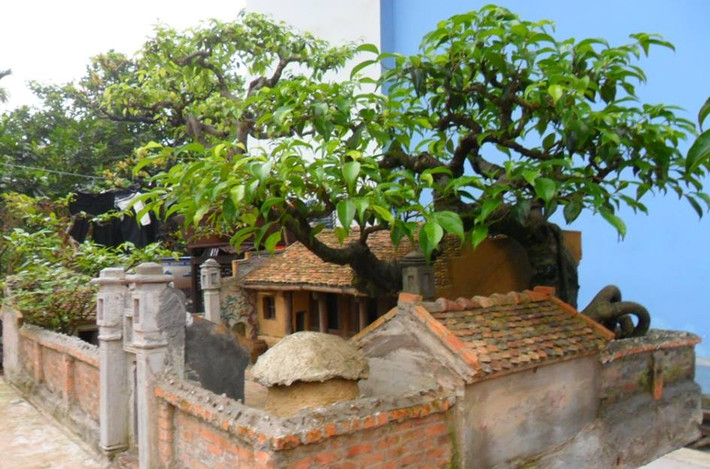 Ấn tượng về nét quê kiểng, mái nhà xưa và những gì thuộc về cổ xưa như cây đa, giếng nước, sân đình, vì vậy anh Nguyễn Ngọc Quý đã quyết định mua lại tiểu cảnh. Ảnh chụp tác phẩm năm 2014: FBNV.