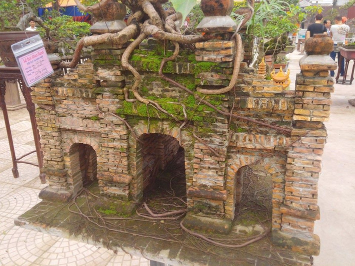 Sự xuất hiện của các tiểu cảnh đẹp mắt này khiến dư luận không khỏi "mổ xẻ", lục tìm lại những tác phẩm bonsai, cây cảnh nghệ thuật của những nghệ nhân tài hoa, từng xuất hiện tại nhiều triển lãm, giao lưu cây cảnh. Ảnh chia sẻ: Nickname Có chút nắng
