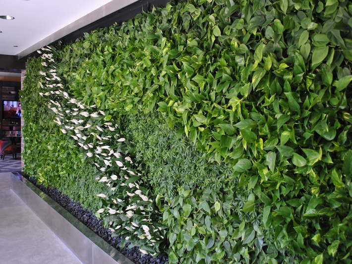 Giảm độ phát xạ của bề mặt công trình bằng cây cối, nhưng để tiết kiệm diện tích nên trồng các loại dây leo trên tường (dùng dây treo hoặc lưới thép để cố định cây), thiết kế vườn rau sạch hoặc cây cảnh trên mái để giảm nhiệt.