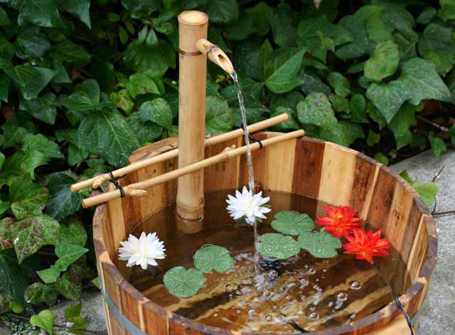 Nếu các không gian quá nhỏ, không thể làm kính nước, bạn có thể dùng các chậu đất nung hoặc bể nhỏ, thả hoa hoặc các loại cây thủy sinh, dùng đài phun nước mini để tạo cảm giác dịu mát cho ngôi nhà.