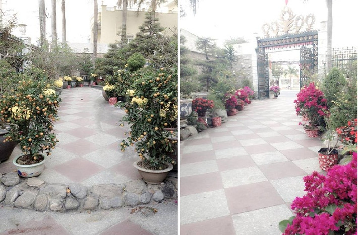 Căn biệt thự nằm trong khuôn viện rộng rãi, với nhiều loại hoa, cây cảnh.
