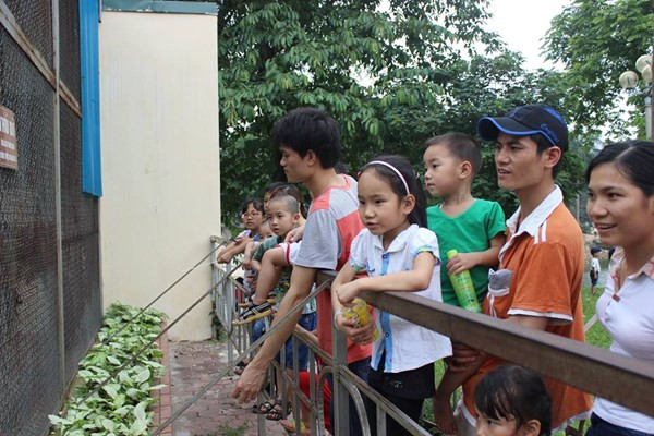 Các em nhỏ háo hức khi được đi cùng gia đình.