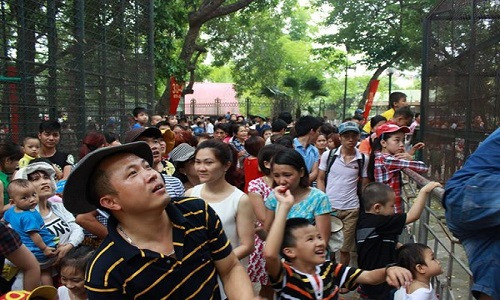 Tại các khu vui chơi, công viên ở Thủ đô thu hút đông đảo người dân trong dịp nghỉ lễ 30/4-1/5. Theo ghi nhận của phóng viên, tại công viên Thủ Lệ (Hà Nội) sáng 30/4 rất đông người dân đến thăm quan.