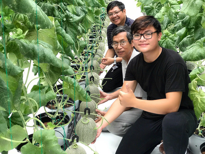 Từng theo học ở Mỹ nhưng Phương Tùng (Củ Chi, TP HCM) lai quyết định trở về Việt Nam lập nghiệp với giống dưa lưới Nhật Bản. Ảnh: Tuổi trẻ.