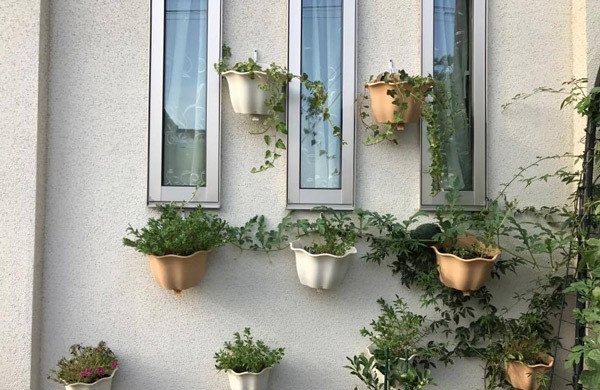 Bức tường được trang trí khéo léo với nhiều chậu hoa. Ảnh: Em đẹp.