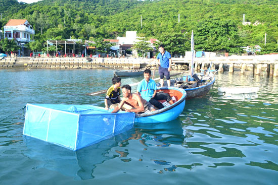 Thức ăn cho bào ngư là các loại rong sẵn có trên đảo (có thể tươi hoặc khô). Ảnh: Baoquangnam.