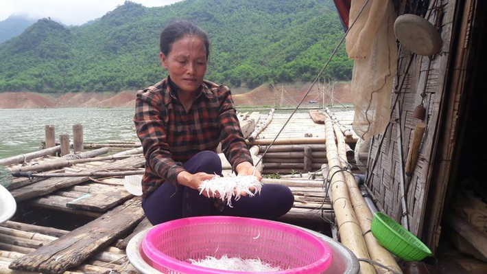 Cá có vị ngọt của cá sông tự nhiên và không có mùi tanh. Ảnh: Vietnamnet.