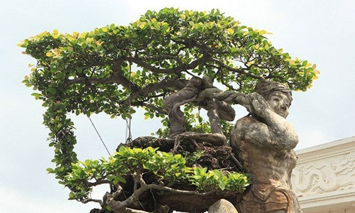 Cây cao 2,6m, tính cả phần đế bên dưới cao 3,2m, rộng 1,4m và nặng 3 tấn. Tượng làm bằng xi măng cốt thép. Ảnh: Dân Việt.