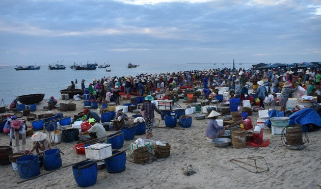 15 năm trước, chợ cá Tam Tiến vốn chỉ là nơi buôn bán tự phát của người dân địa phương, hàng hóa chủ yếu là hải sản. Ảnh: VOV5.