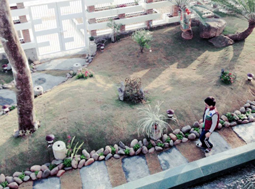 Trước cửa nhà là con đường rộng và mảnh đất trống cỏ mọc tự nhiên. Ảnh: Giadinhxahoi.