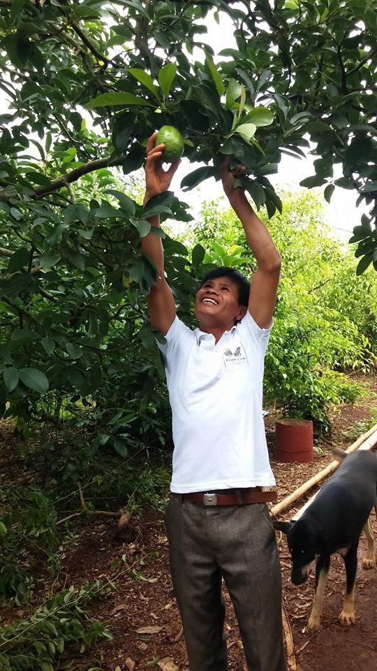 Không chỉ sở hữu nhiều nhãn hiệu bơ đứng đầu thị trường, anh Mười còn thường xuyên cấp những giống bơ có sản lượng cao, cho khắp Tây Nguyên và các tỉnh miền núi phía Bắc. Ảnh: Zing.