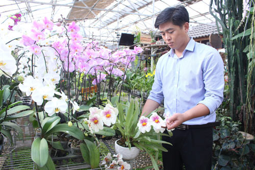 Anh Phan Thanh Sang trở thành một hiện tượng trong giới chơi lan ở thành phố ngàn hoa Đà Lạt (Lâm Đồng) khi sở hữu vườn lan với hàng nghìn loại. Anh còn được gọi với cái tên "Sang còi". Ảnh: Dân Việt.