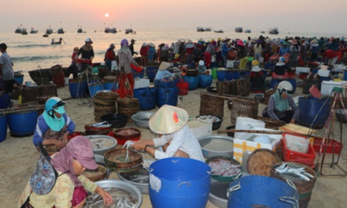 Từ lâu, huyện Núi Thành (Quảng Nam) tồn tại một khu chợ hải sản độc đáo đó là chợ cá Tam Tiến. Ảnh: Baoquangnam.