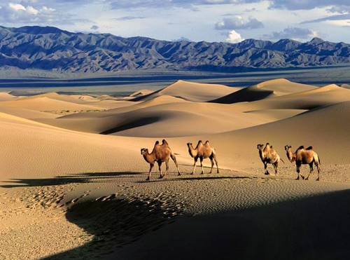 Nghe "hát" ở sa mạc Gobi: Gobi ở Mông Cổ là sa mạc lớn thứ 5 trên thế giới. Tháng tốt nhất để thăm hoang mạc Gobil là tháng 9 và tháng 10. Nhiệt độ mùa hè ở Gobil là 40 độ C nhưng mùa đông có gió. Đây là nơi sinh sống của nhiều loài động vật quý hiếm, cũng lưu giữ nhiều hóa thạch quan trọng, gồm những hang động có từ thời tiền sử, dụng cụ bằng đá có niên đại 100.000 năm. Đây cũng là nơi tìm thấy quả trứng khủng long đầu tiên trên thế giới. Nhiều du khách tìm đến các cồn cát ở sa mạc Gobi chỉ để nghe cát "hát". Khi gió mạnh, tiếng cát như tiếng "gầm" của một con thú; còn khi có làn gió nhẹ, âm thanh đó nghe rất du dương...