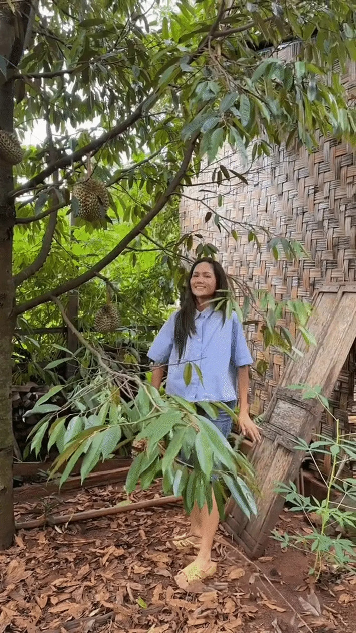 Qua đoạn video, khán giả bày tỏ thích thú trước khu vườn rộng rãi xanh mướt, đủ loại cây trái của gia đình H'Hen Niê.