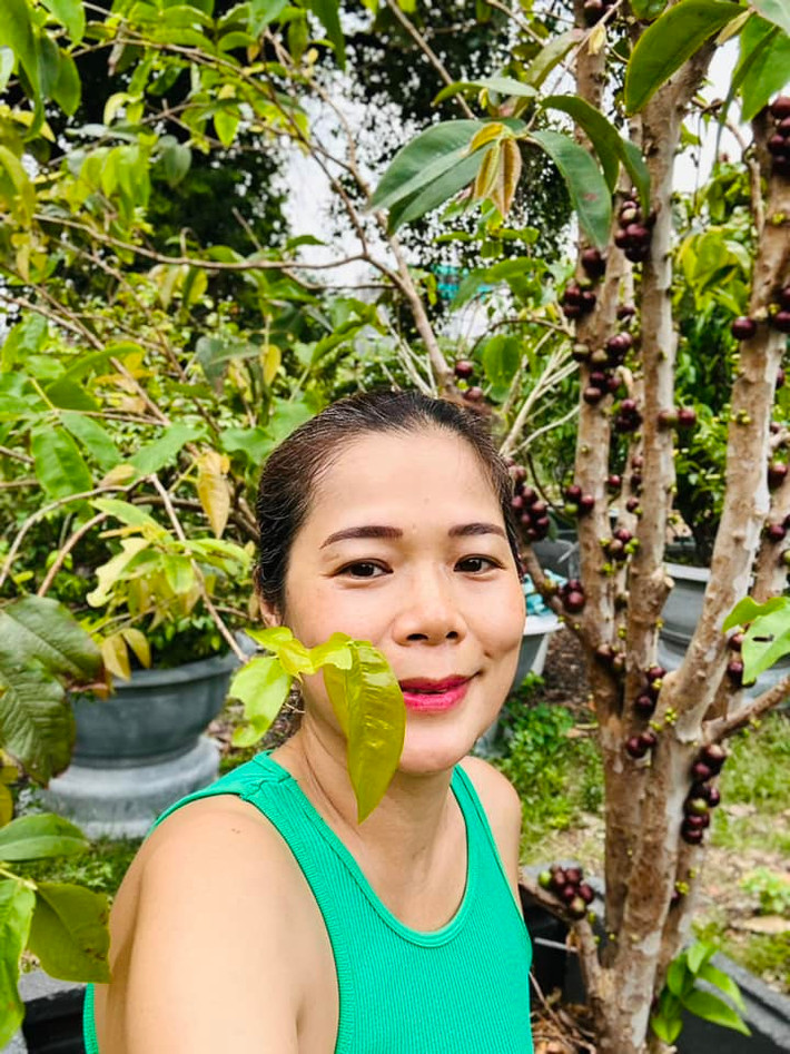 Nho thân gỗ chi chít quả nhưng chim với chuột, sóc chén nham nhở trên cây.