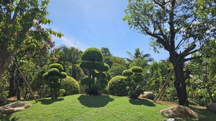 Khung cảnh bình yên đến lạ thường.