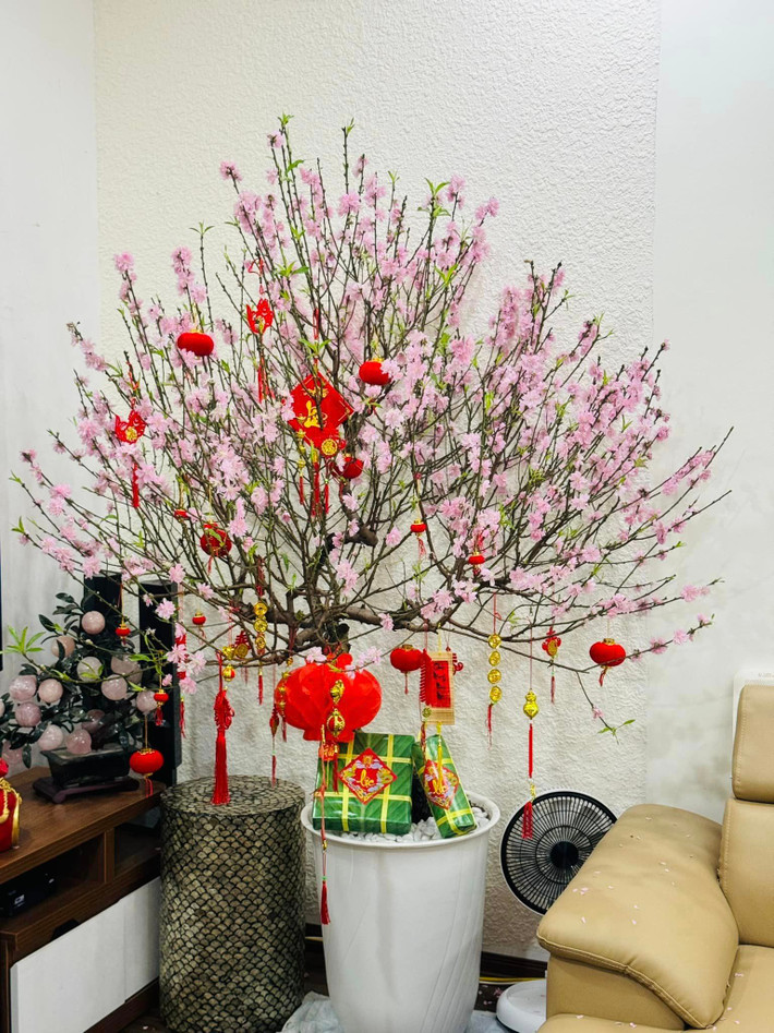 Cây đào bung nở rực rỡ được Ngọc Hà Lê trang trí đẹp mắt với nhiều quả cầu đỏ bắt mắt và bánh chưng xanh.