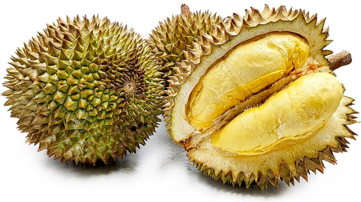 Sầu riêng Kanyao đắt đỏ như vậy không chỉ bởi thời gian và sức lao động của người nông dân, mà còn cả các chi phí khác. Trong đó, riêng chi phí mua nước về tưới cây mỗi năm đã tốn khoảng 2.200 USD (hơn 50 triệu đồng). Ảnh: Stratetimes