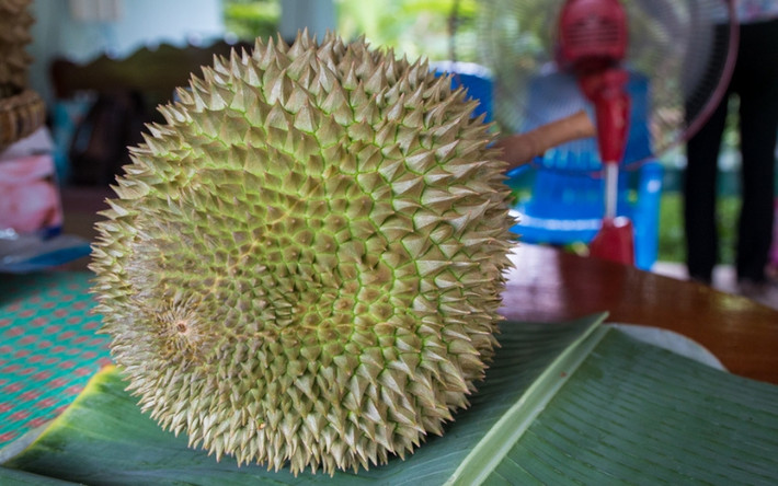 Trong một phiên đấu giá ở Malaysia hồi cuối năm 2023, trái sầu riêng Black Thorn được bán với giá 15.000 RM (hơn 77 triệu đồng). Ảnh: The Star