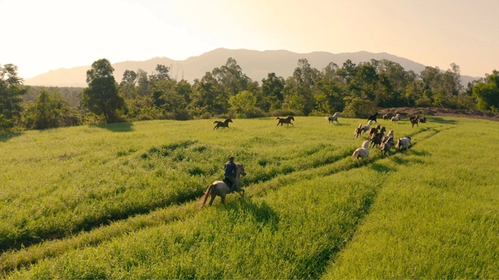 Trang trại ở M'Drắk của ông Đặng Lê Nguyên Vũ rộng khoảng 600ha, xung quanh đường vào là cây cối, hồ nước, đá được đặt nhiều hai bên, một vài loài hoa nở rộ. Ảnh: Trung Nguyên Legend