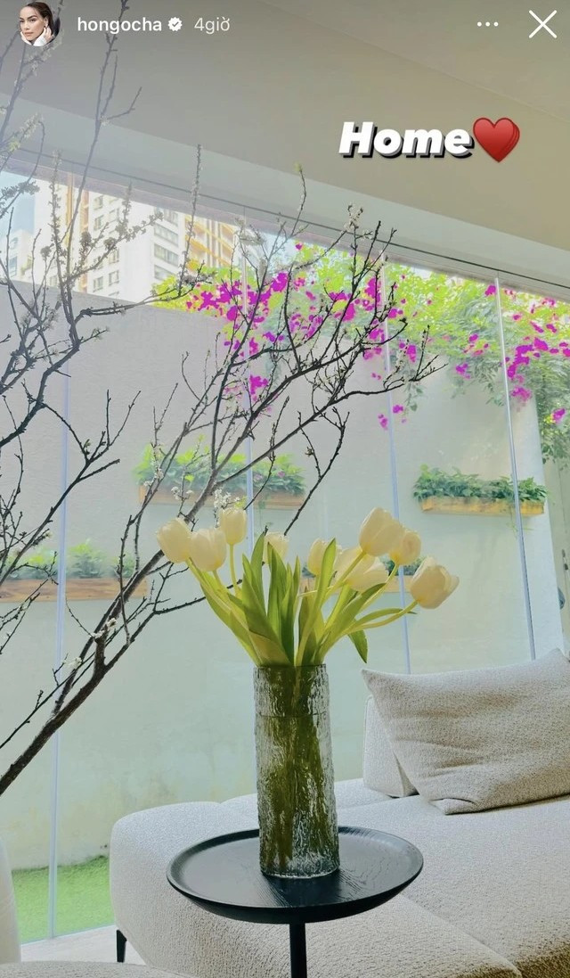Ngay lối vào nhà, Hà Hồ đặt những chậu cúc mâm xôi vàng rực. Ở bên trong, nữ ca sĩ trang trí nhiều loại hoa khác nhau, từ cành mận trắng đến hoa tulip thanh khiết.