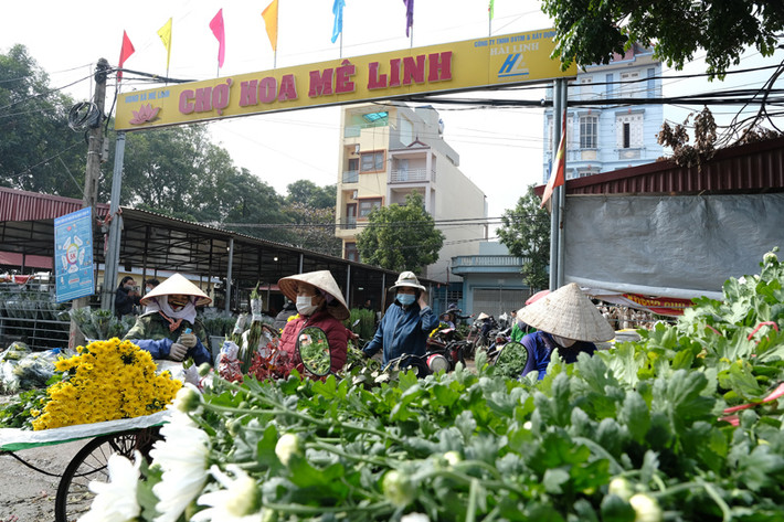 Chợ hoa Tết Mê Linh không chỉ là điểm đến mua sắm hoa tươi mà còn là nơi để trải nghiệm không khí tết đặc trưng của Hà Nội. Chợ nổi tiếng nhất về các loại hoa hồng.