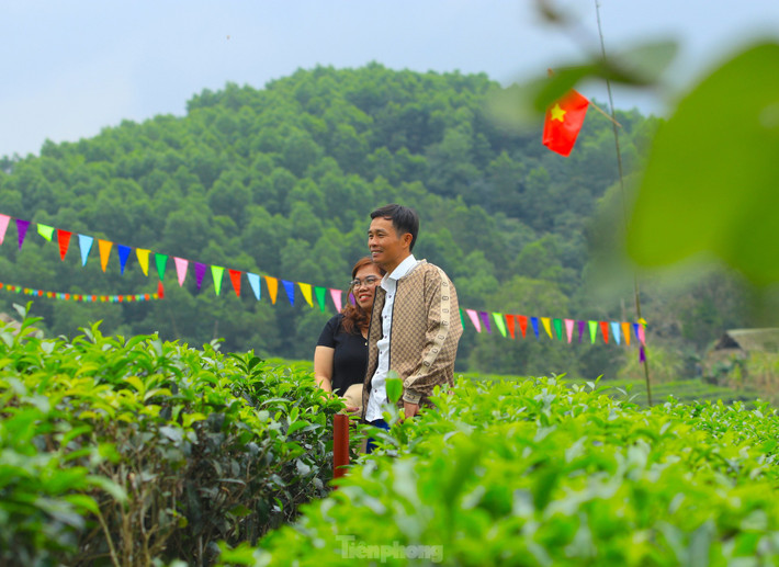 Dịp đầu năm mới, các đôi trai gái, gia đình trẻ thường đưa nhau đến đồi chè để chụp hình lưu lại những khoảnh khắc yêu thương.