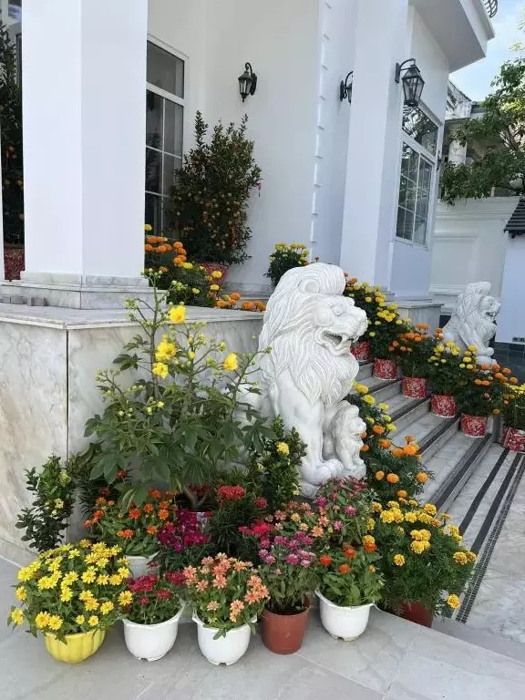 Hà Tăng thường trưng bày đủ loại hoa và cây cảnh trước cửa ra vào nhà.