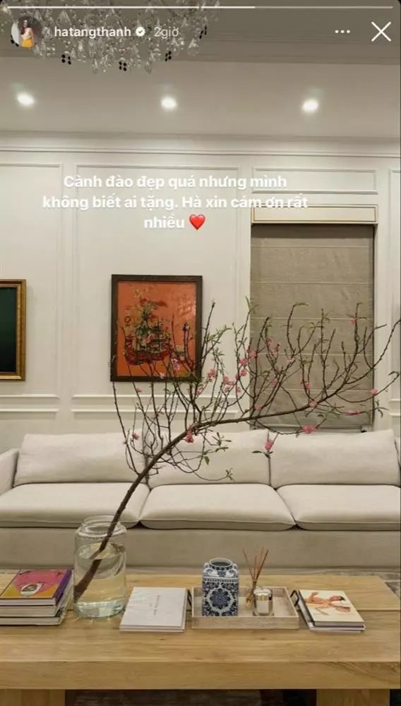 Ngày Tết, biệt thự của Tăng Thanh Hà cũng không thể thiếu hoa đào.