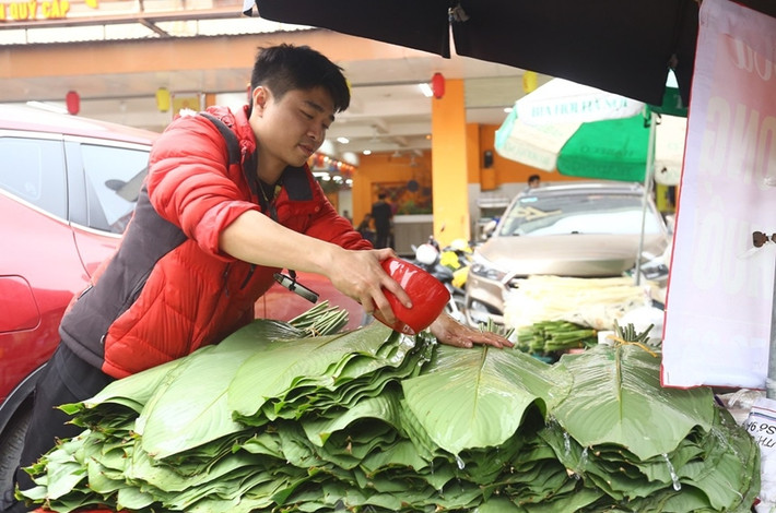 Để lá không bị khô, người bán thường xuyên tưới nước. Ảnh: Tiền phong