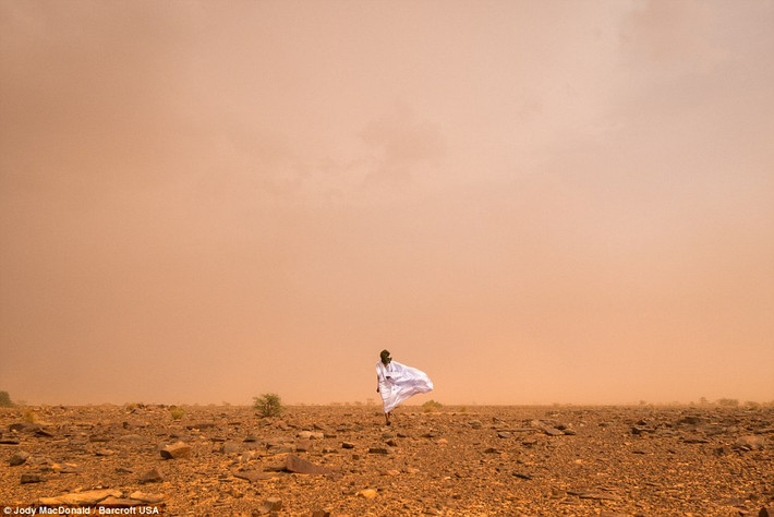 Một người phụ nữ Mauritania đi trong bão cát trên sa mạc Sahara.
