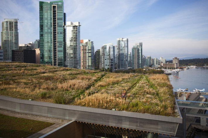 5. Thành phố Vancouver, Canada.