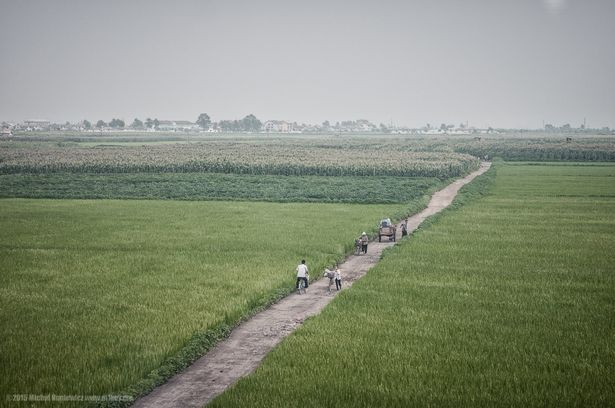 Người dân Triều Tiên đi lại trên con đường đất giữa cánh đồng.