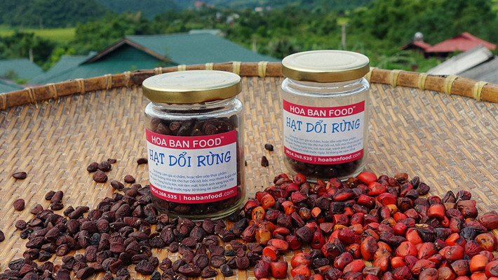 Là loại gia vị hiếm, chỉ có vào mùa đông (tháng 10,11), hạt dổi rừng Tây Bắc đang được bán với giá 2,6-3 triệu đồng/kg. Ảnh: Hoabanfood.