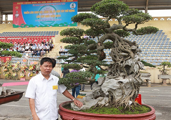 Đại gia Toàn 'Đô la" (ở Việt Trì, Phú Thọ) đươc biết là "tay chơi" khét tiếng làng cây cảnh. Ảnh: Vietnamnet