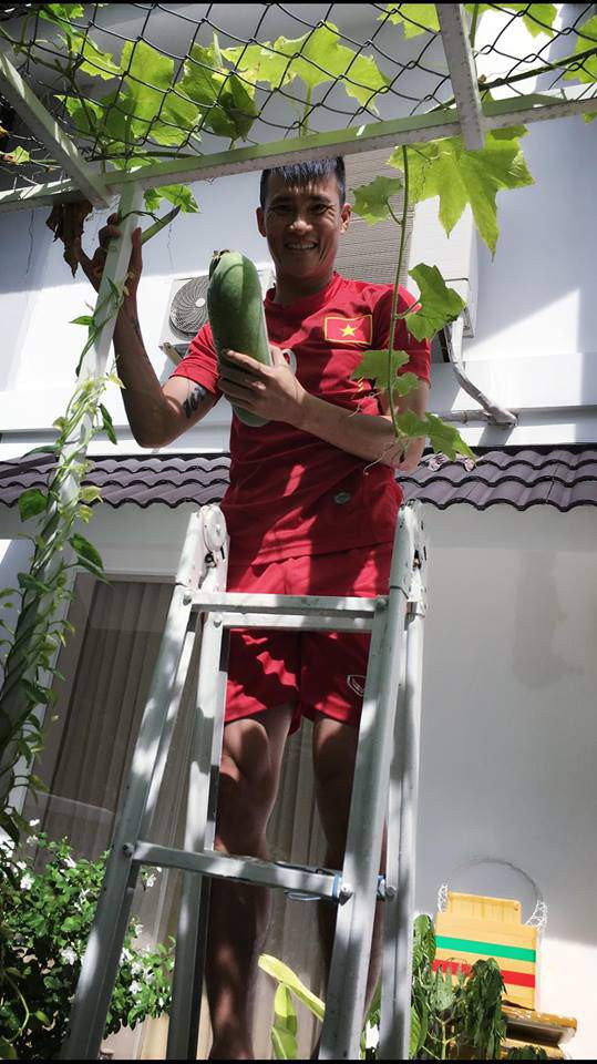 Công Vinh tươi rói khi hái được những trái bầu lớn trong vườn nhà.