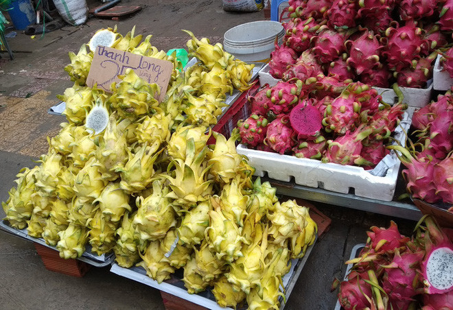 Những ngày đầu tháng 10, nhiều người không khỏi ngạc nhiên khi điểm bán trái cây trên đường Trịnh Hoài Đức (quận Bình Thạnh, bên hông chợ Bà Chiểu, TP HCM) có thanh long vàng với giá chỉ 25.000 đồng/kg. Ảnh: Người lao động.
