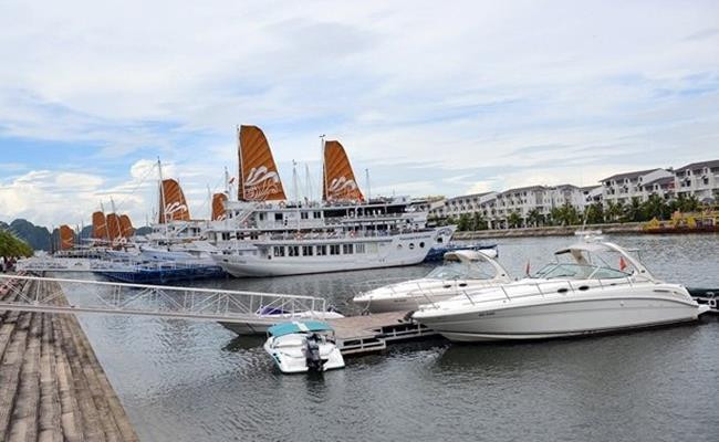 Đại gia Đào Hồng Tuyển - chúa đảo Tuần Châu sở hữu tới 5 chiếc du thuyền, trong đó 3 du thuyền lớn có 17 cabin, 2 du thuyền nhỏ dành cho gia đình. Ảnh: Dân Việt.