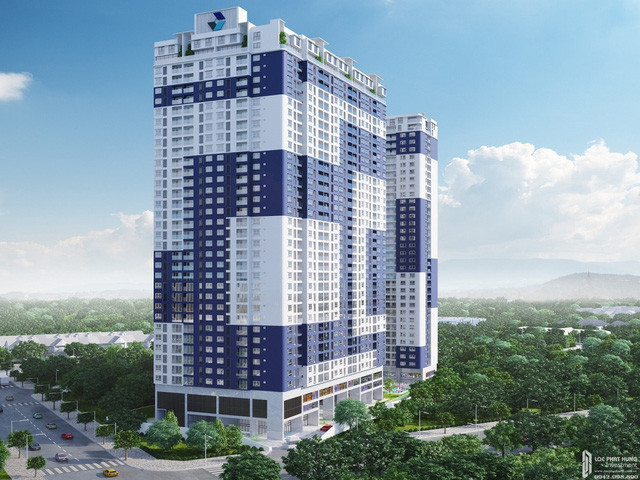 Công ty có ngành nghề kinh doanh chính là kinh doanh bất động sản, quyền sử dụng đất thuộc chủ sở hữu, chủ sử dụng hoặc đi thuê... Theo công bố thay đổi nội dung đăng ký doanh nghiệp vào tháng 1/2019, vốn điều lệ C-Holdings đã giảm từ 1.169 tỷ đồng xuống còn 428 tỷ đồng.