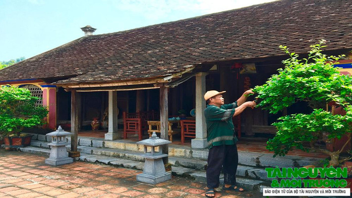 Ngôi nhà như một báu vật không chỉ của riêng gia đình ông Tập mà còn là di sản của người dân làng cổ Đông Sơn. Ảnh: Báo Tài Nguyên & Môi trường.