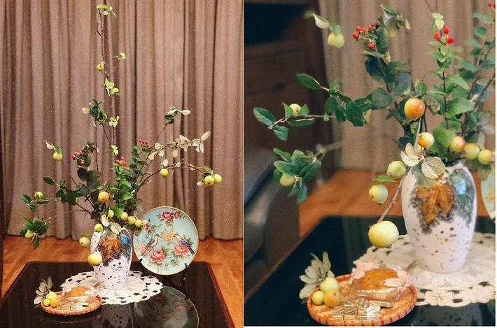 Theo chị Anh Sa, những cành táo mèo tươi, quả chín vàng hay hây hây má đỏ bắt mắt, có mùi thơm thoang thoảng khiến căn phòng thêm sinh động. Ảnh: Quỳnh Chi.