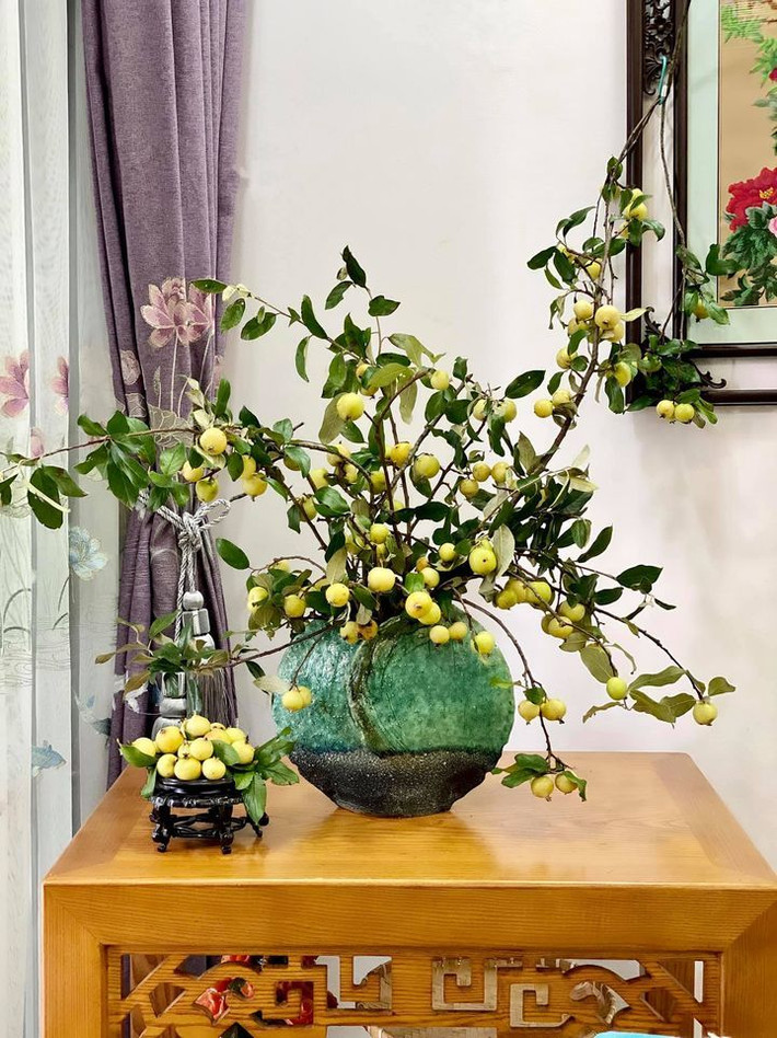 Đặc biệt, khi lá héo và rụng, phần quả để khô vẫn có thể dùng trang trí. Ảnh: Ngọc Dần. Video: Tuyệt chiêu làm táo mèo bao tử trộn mắm ớt. Nguồn: VTC Now