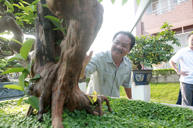 Theo anh Dũng, Ổi "Tể tướng Lưu gù" cũng phần nào nói lên cuộc đời đầy sương gió của mình. Ảnh: Dân Việt.