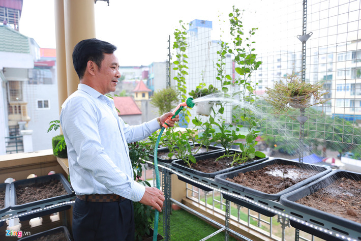 Gia đình nam nghệ sĩ dành một góc trồng rau sạch trên tầng thượng. Ảnh: Zing.