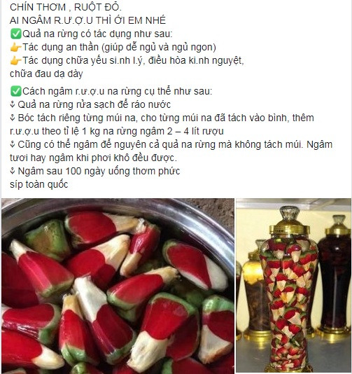 Gần đây, khi na dai, na bở đã vào cuối vụ, na rừng Tây Bắc vào mùa chín thơm lại được rao bán rầm rộ trên chợ mạng. Ảnh chụp màn hình.